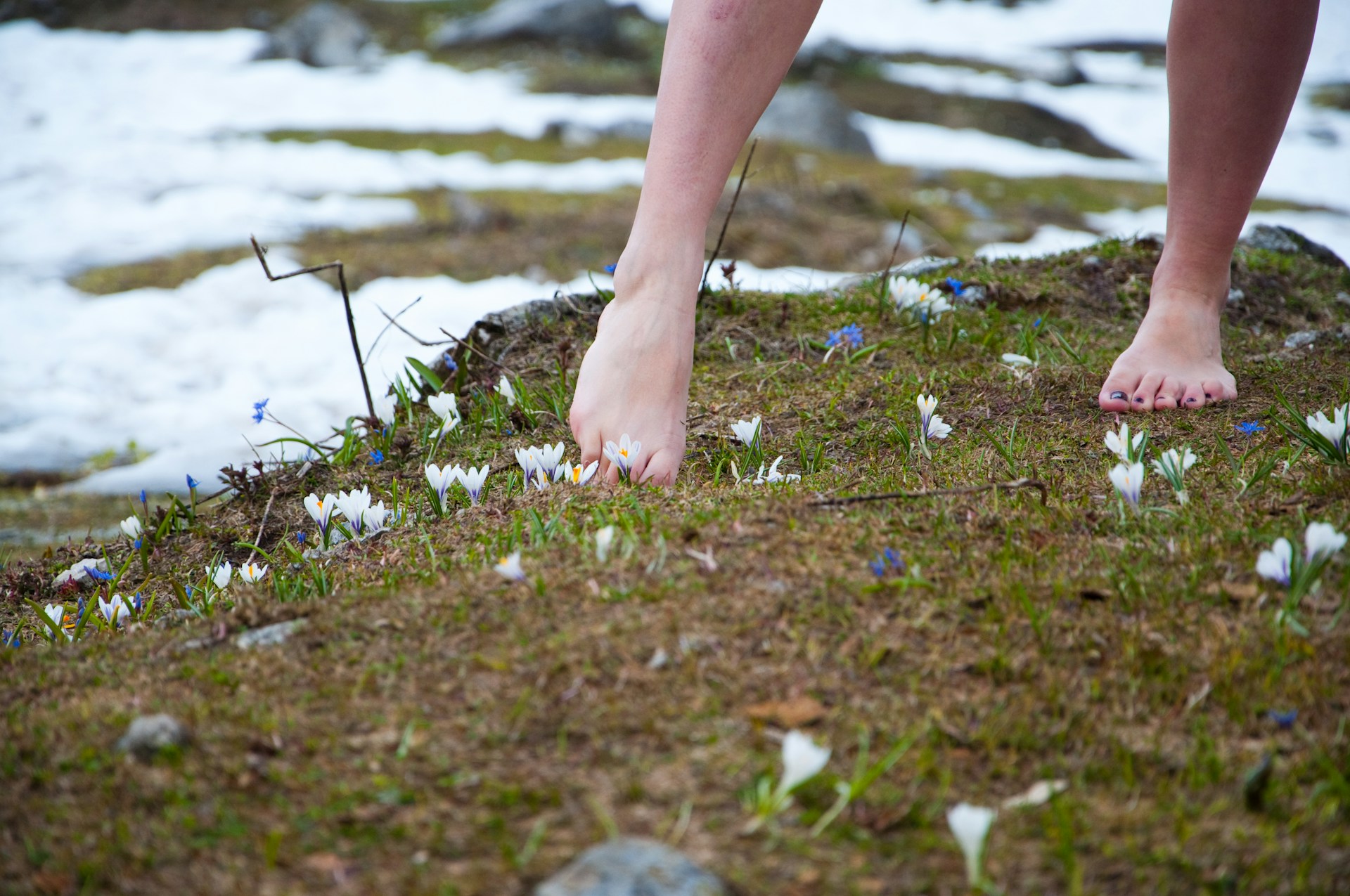 Feet in Winter